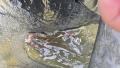 thumb_20250916-074459-44777700-c7f32b8f86e152569e91f53ad9bb563f.jpg (120x68)