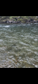 thumb_20250917-074604-74161900-4e3d1629cf9c84a4d3239077017e64f6.png (42x90)