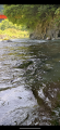 thumb_20250921-190511-27633600-f9c4c99db3941f73057f44483adca399.png (42x90)