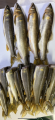 thumb_20250929-074034-68578000-944e0d82f36e86b13b733b9406c10448.png (42x90)