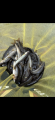 thumb_20251010-175616-46911800-dbbf6d03fe4ebbe10472a709a2dd68c9.png (42x90)