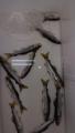 thumb_20260511-191419-82335200-1ffc52fbe547f1d0dd66daaec12265f9.jpg (51x90)
