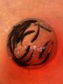 thumb_20260518-174604-27521100-2553a3cefecd46ddf8ff7e0e4a1bbd15.jpg (68x90)