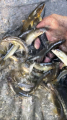 thumb_20260612-203919-43349400-526d452caf01a3fe767e60d8222d6857.png (51x90)