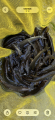 thumb_20260613-191053-46864400-623dfccbc570fc159565ad8f9523ba68.png (42x90)