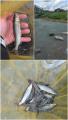 thumb_20260704-225730-41255200-b38502df18361185264abf79c2ba5945.jpg (51x90)