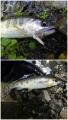 thumb_20260709-225422-31969800-ddb2c6a8ec94574b80cb630e7257f356.jpg (51x90)