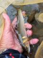 thumb_20260711-192218-49220900-8267790f22e592f24e6677473165460b.jpg (68x90)