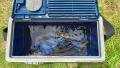thumb_20260712-065737-61740000-2a66de9428339968557e4d3f2926bc2b.jpg (120x68)