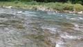 thumb_20260713-193340-58759500-0d384e2697bbf18a6d55c03caf3a36cf.jpg (120x68)