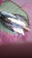thumb_20260716-094913-25552200-3e44b79adb30ed572e554f76a8697865.jpg (51x90)