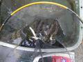 thumb_20260718-161835-01434100-75cd54a02be68b8c8b2fcb1967ded5b4.jpg (120x90)