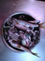 thumb_20260718-213036-32182100-bd92eb86b098121a893196d12bc4801b.jpg (68x90)