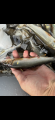thumb_20260719-210409-62236700-59e3cb44cfc22b6e6b8dbf161364a9f0.png (42x90)