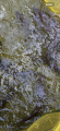 thumb_20260720-065259-81458100-1295c2b1c09658680d6f197d782f31b3.png (42x90)