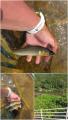 thumb_20260720-223713-98845800-081042a1370298c5fbd8b91d95398336.jpg (51x90)