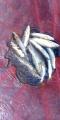 thumb_20260730-205847-79635300-635fb17cd7709f40b74bb17a322e8ec9.jpg (45x90)