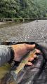 thumb_20260809-172805-07452600-ab53e8414ace8e3183ec433475311a65.jpg (51x90)