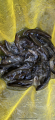thumb_20260815-204528-76647800-261700be3f6177a27056fcabb67ae3e2.png (42x90)