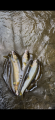 thumb_20260816-175501-46020700-f99a4518886aa43e56822265dc010f8f.png (42x90)