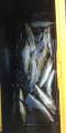 thumb_20260822-170536-63115100-554ed2a90e1468ebae6691b966270fa6.jpg (45x90)