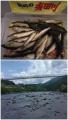thumb_20260823-205356-26508000-2c5edc30801b6be1dd60f0938c9f3e33.jpg (51x90)