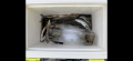 thumb_20260903-213511-34236900-d035b2d0fa439f5c40e36d56be05584c.png (120x55)