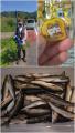 thumb_20260922-212254-58351100-71b46fcc63b216674e211d5a4617e1b8.jpg (51x90)