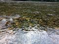 thumb_20261003-200609-05772200-0af7533b5ce2a09718f76283b95d78dd.jpg (120x90)