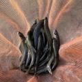 thumb_20261008-235234-07791300-23f7116b4ddb25b5b65965cfd9d3327a.jpg (90x90)
