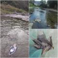 thumb_20261013-185027-24736700-1ded6ee4241e8fcbdbe65c1fdbd45d02.jpg (90x90)