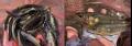 thumb_20261017-213422-97220300-4ca50cd7cacb87dd976f09e36b888634.jpg (120x42)